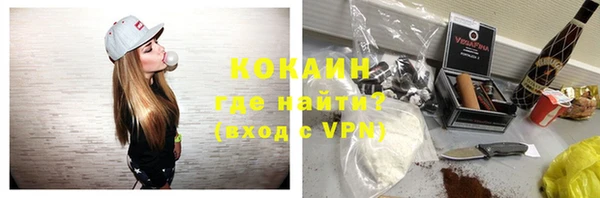 ГАЛЛЮЦИНОГЕННЫЕ ГРИБЫ Пересвет