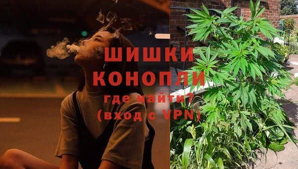 ГАЛЛЮЦИНОГЕННЫЕ ГРИБЫ Пересвет