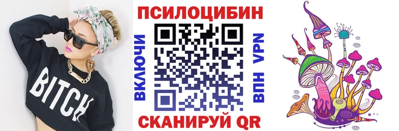 Псилоцибиновые грибы мицелий Калининец